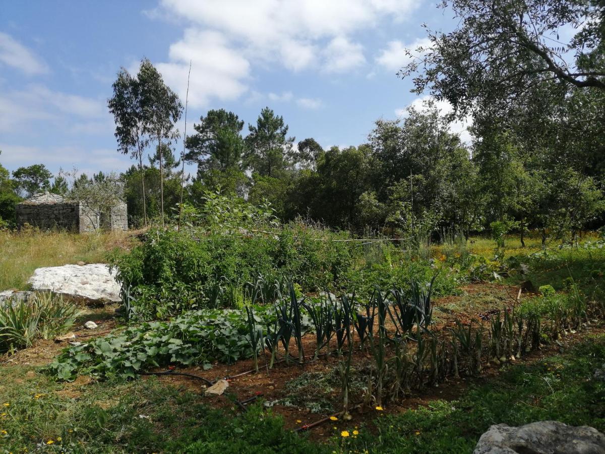 Casal Das Fontainhas Alcobaça Dış mekan fotoğraf