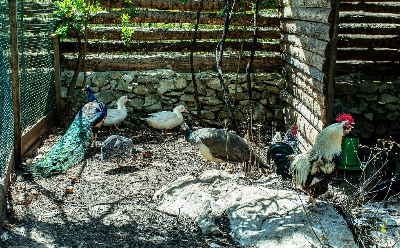 Casal Das Fontainhas Alcobaça Dış mekan fotoğraf